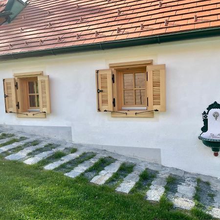 Ferienhaus Perwolff Eisenberg an der Pinka Exterior photo
